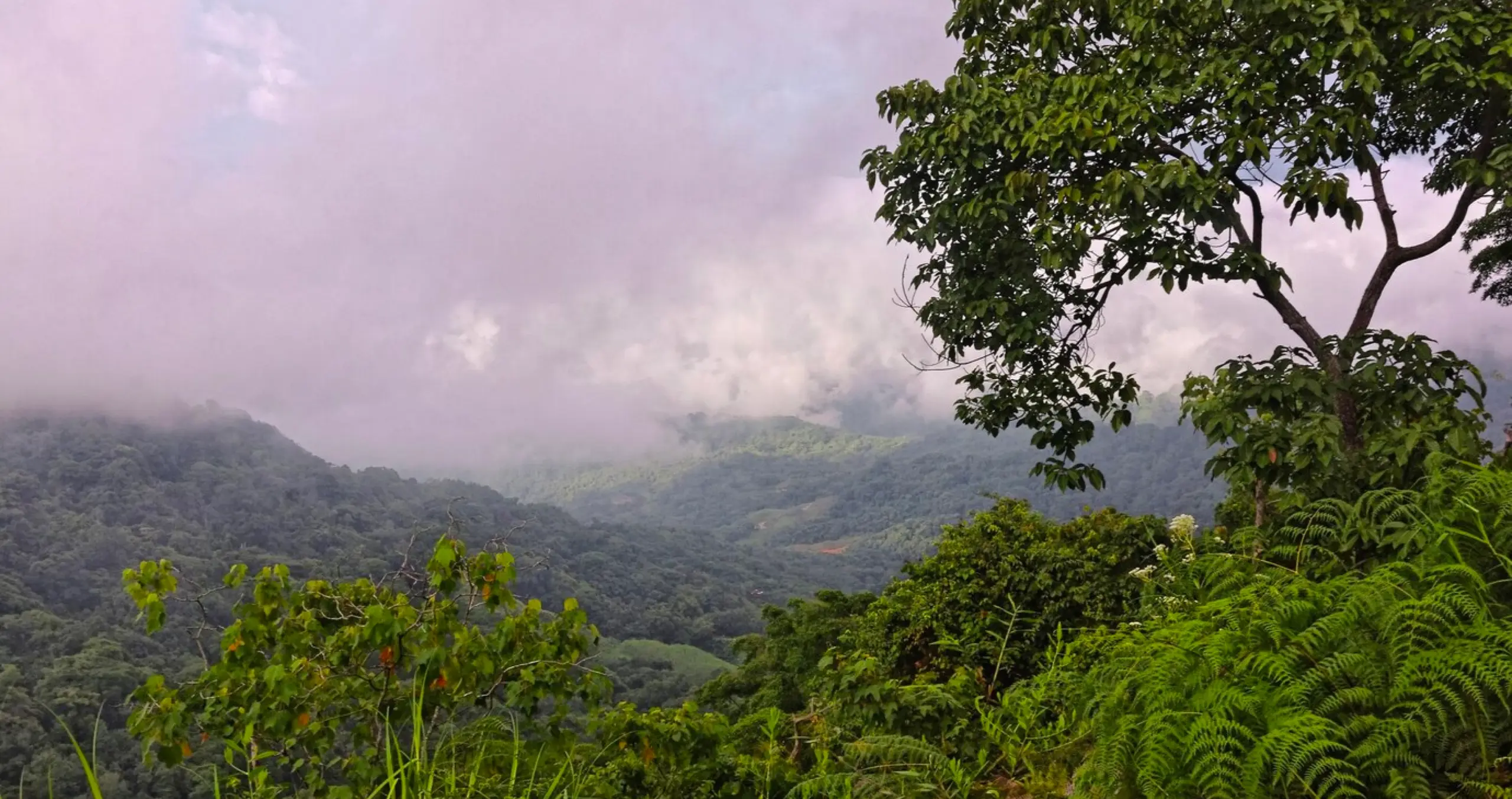 7 Days Sri Lanka Family Tour